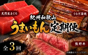 【全3回】まぐろ・うなぎ・和牛を楽しむ贅沢定期便A / 鮪 マグロ 刺身 鰻 ウナギ 蒲焼 熊野牛 肉 牛肉 和牛 黒毛和牛 ヒレ ロース シャトーブリアン ステーキ スライス【tkb386】