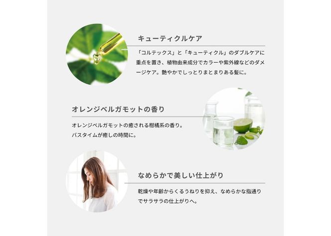 【富士山の天然水配合】 ボタニカルヘアトリートメント 2本セット サロン ヘアケア トリートメント セット 美容室 ギフト 山梨 富士吉田