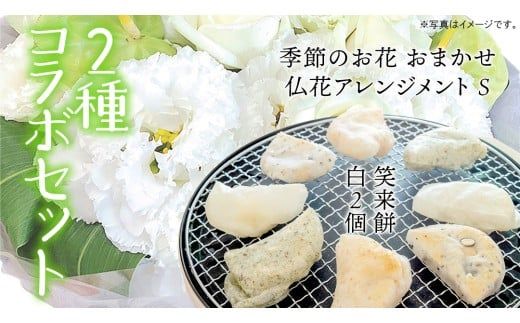 【 筑西市 ふるさと納税限定 コラボ 】 《 季節のお花の仏花アレンジメントS 》《 笑来餅 2個 セット（白2個） 》 アレンジメント 生花 ギフト プレゼント 誕生日 記念日 敬老 餅 もち もち米 [ZZ049ci]