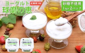 定期便3回 球磨の恵ヨーグルト 1kg×2パック（砂糖不使用）【配送不可：沖縄、離島】 乳製品 発酵食品 朝食 間食 新鮮 生乳 とろ～り もっちり 酸味がない 無糖 2個セット 3回お届け 大容量 