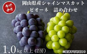 厳選 シャインマスカット・ニューピオーネ 2房 合計1.0kg以上 詰合せ 産地直送 朝採れ ぶどう 葡萄 Kawahara Green Farm 岡山県産 2026年 果物 フルーツ ジューシー 大粒 食べやすい 人気 甘い 美味しい 