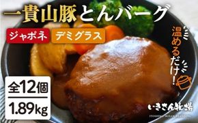 食べ応え抜群！一貴山豚とんバーグ12個（6個×2種）ジャポネソース_デミグラスソース_ハンバーグ いきさん牧場 《糸島》[AGB003] ハンバーグ デミグラス 冷凍 詰め合わせ 湯せん おかず 冷凍 ストック