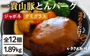 食べ応え抜群！一貴山豚とんバーグ12個（6個×2種）ジャポネソース_デミグラスソース_ハンバーグ いきさん牧場 《糸島》[AGB003] ハンバーグ デミグラス 冷凍 詰め合わせ 湯せん ハンバーグジャポネソース ハンバーグデミグラスソース ハンバーグデミグラス ハンバーグ冷凍 ハンバーグ詰め合わせ ハンバーグ湯せん ハンバーグ即席 ハンバーグおかず