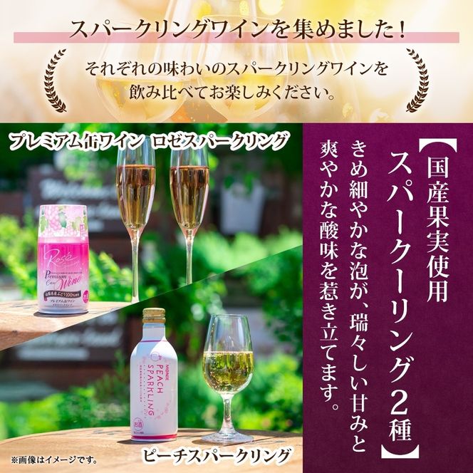 スパークリング 缶ワイン 5種 セット 各290ml×2本 計10本 飲み比べ モンデ酒造 ロゼ デラウェア ピーチ 酒 お酒 贈答 ギフト 晩酌 宅飲み 家飲み キャンプ BBQ バーベキュー パーティー アウトドア 送料無料 山梨県 笛吹市  177-4-173