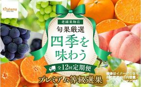 【定期便全12回】旬果厳選！四季を味わう単品定期便♪～プレミアム等級選果～ 372013_GM025