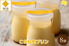 【昭和39年創業】こがね町プリン8個セット 北海道 滝川市 銘菓 お菓子 スイーツ ご当地 お土産