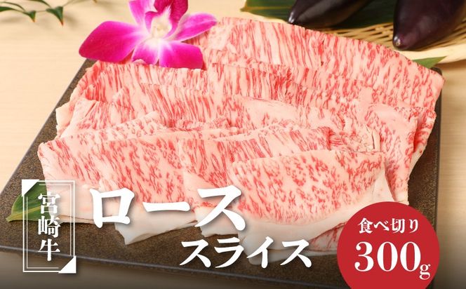 y{茧؏钬z{苍[XXCX300g K01_0007_1