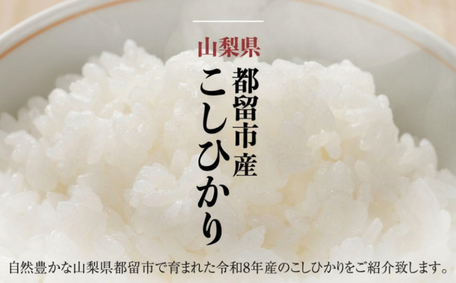 【令和8年産先行予約】山梨県都留市産こしひかり 選べる容量[5kg・10kg] FB038.FB039