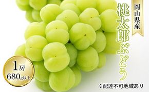 ぶどう 2026年 先行予約 桃太郎 ぶどう 1房 680g以上（露地栽培）贈答用 ブドウ 葡萄  岡山県産 国産 フルーツ 果物 ギフト 岡山の葡萄