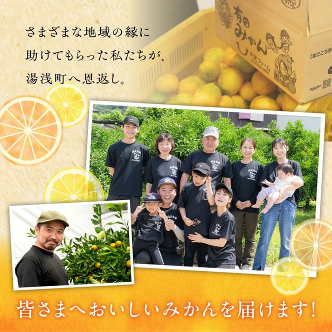 ZE6446_【2026年先行予約】【まごころ手選別】和歌山県産 有田みかん 秀品　15kg (2S～2Lサイズ混合)