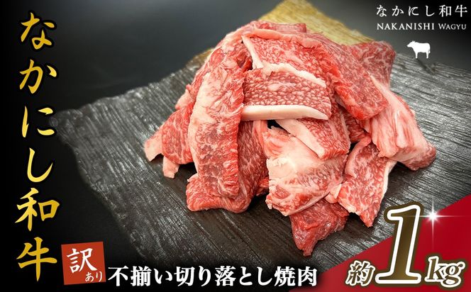 y{茧юsz{茧mqEȂɂa󂠂s؂藎Ƃē 1kgiY   {苍 јa  ؂藎Ƃ Ȃɂa ē lC 󂠂 s j