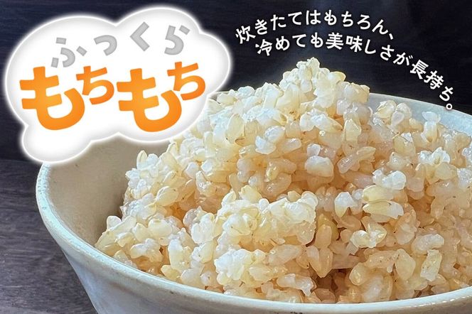 【令和８年産 新米予約】あきたこまち 玄米 5kg 秋田県北秋田市産 [米 こめ 令和８年 2026年 新米 秋田県 北秋田市 あきたこまち 白米 美味しい おいしい]|fjne-020501