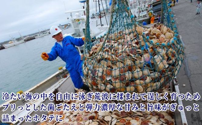 20-330 北海道オホーツク海産ホタテ玉冷バラエティサイズ(1kg)｜ 訳あり サイズ不揃い