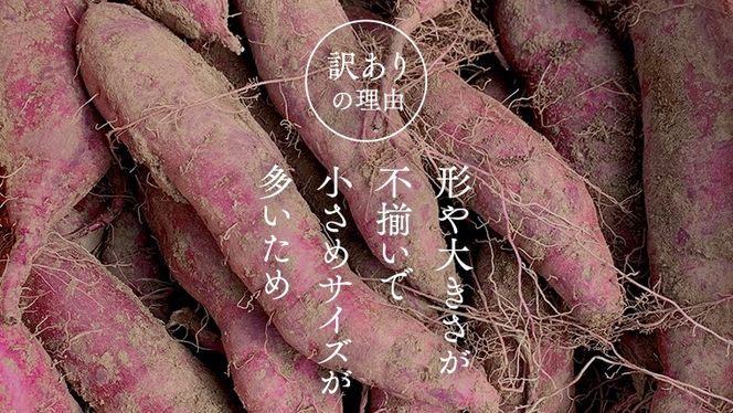 y錧΂݂炢szy 󂠂 z ܂ I g͂邩 Tc}C   ׂɂ͂邩    PA A KiO s [BK09-BK10-NT]