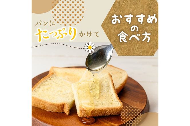 a1002 《期間限定！》選べる容量！姶良ハニー(250g・500g)【原電設工業】姶良市 国産 ハチミツ はちみつ 蜂蜜 百花蜜 蜜 常温 常温保存