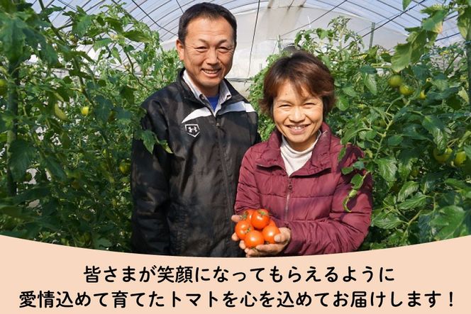 【期間限定発送】 トマト こだわりのホントに美味しい 高糖度トマト 1.5kg [奈須農園 宮崎県 日向市 452060934] 野菜 とまと ソプラノ 高糖度 甘い 産地直送 不揃い 家庭用