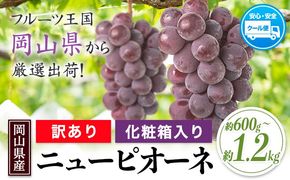 岡山県産 訳あり ニューピオーネ 選べる 約600g(1房) 約1.2kg(2房)《8月下旬-10月下旬頃出荷(土日祝除く)》岡山県 笠岡市 葡萄 果物 訳あり 優品 数量限定 2026---kasaoka_zsy_250_06---