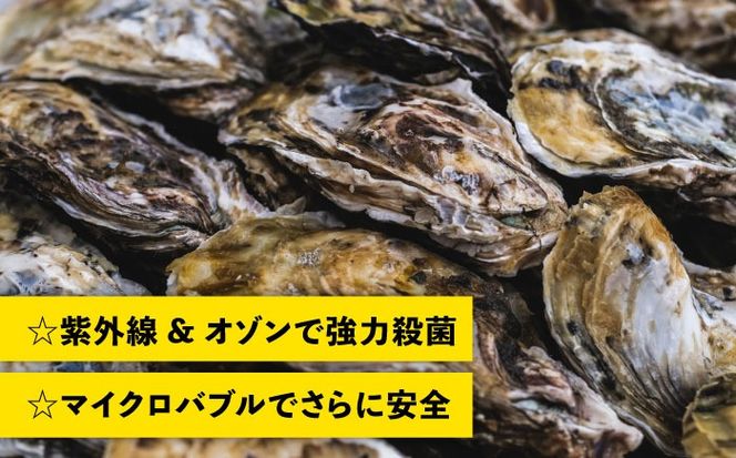 【加熱用】一粒牡蠣 カキ 10kg (牡蠣ナイフ付き) 糸島産 福吉 糸島市 / 伸栄丸 カキの佐々木 牡蠣 生カキ 生食用 殻付き カキ 生牡蛎[ATH004]