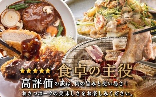 全部真空パック！「おさつポーク」バラエティ3.9kgセット_21-1401_(都城市) 豚肉 小分け 真空 ヒレ トンカツ ロース 豚カツ カット 焼肉用 カット肉 バラ 小間切れ ミンチ 栗山ノーサン 肉 ポーク 国産 とんかつ用 焼肉用 脂身 甘い