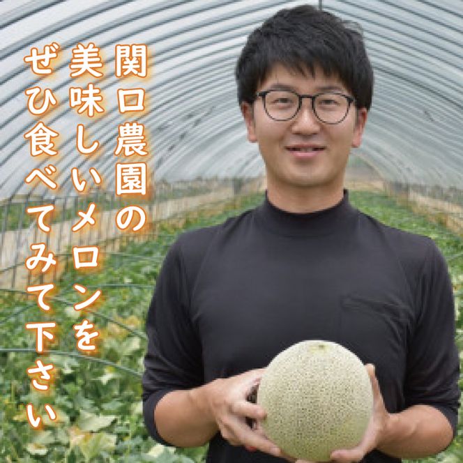 【2026年5月より順次発送】特大玉イバラキングメロン 2玉｜メロン イバラキングメロン フルーツ 果物 くだもの 特大 先行予約 茨城県 行方市(BW-15-1)