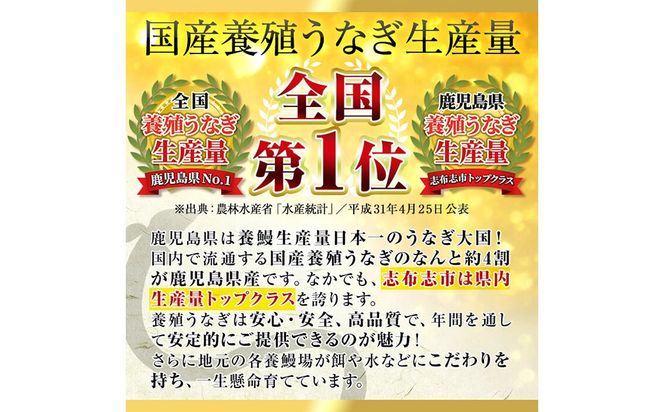 【数量限定】チンする♪霧島湧水鰻重セット 2食入 620g(蒲焼半身＋味付けご飯 [計310g×2食]) a1-049