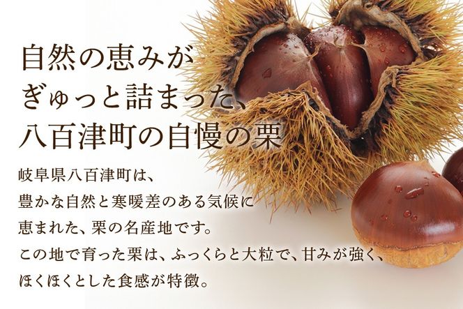 395. 栗きんとん フロマージュ 栗カフェ ふじのや ベイクド チーズケーキ マスカルポーネ