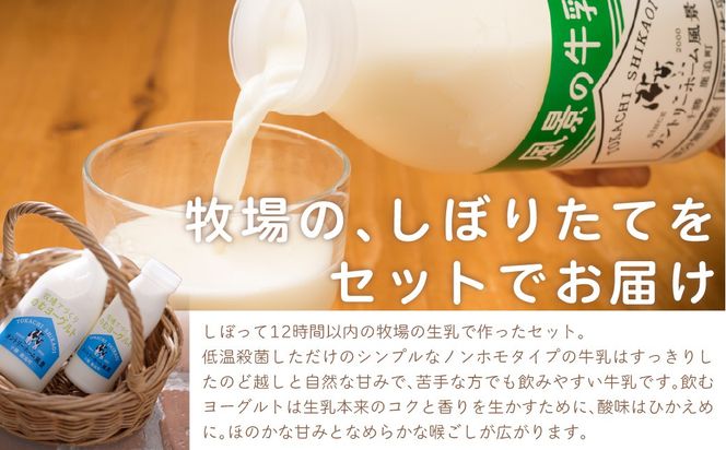 【定期6ヶ月】のむヨーグルト500g 風景の牛乳500ml 各4本 SKB113