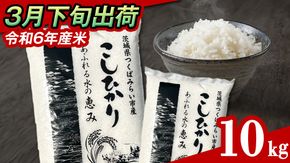 【 3月下旬発送 / 数量限定 】新米 茨城県産 コシヒカリ 精米 10kg (5kg×2袋） 令和6年産 こしひかり 米 コメ こめ 単一米 限定 茨城県産 国産 美味しい お米 おこめ おコメ [CL36-NT]