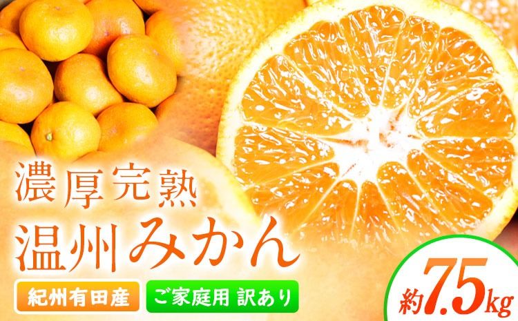 [先行予約][ご家庭用訳アリ] 紀州有田産 濃厚完熟温州みかん 約7.5kg 魚鶴商店[2026年11月下旬-2027年1月下旬頃出荷] 和歌山県 日高川町 みかん 温州みかん 完熟 濃厚 柑橘 ご家庭用---wshg_uot173_11g1g_25_15000_7500g---