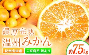 【先行予約】【ご家庭用訳アリ】 紀州有田産 濃厚完熟温州みかん 約7.5kg 魚鶴商店《2026年11月下旬-2027年1月下旬頃出荷》 和歌山県 日高川町 みかん 温州みかん 完熟 濃厚 柑橘 ご家庭用---wshg_uot173_11g1g_25_15000_7500g---