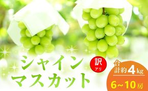 【2026年 先行予約】【訳あり品】シャインマスカット 6～10房 合計約4kg 常温配送 ぶどう 葡萄 フルーツ 果物 岡山 高梁市