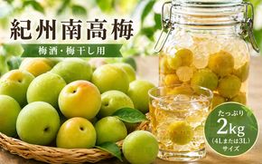 【先行予約】和歌山県産 紀州熟南高梅 2kg (4Lまたは3Lサイズ) 生うめ 大粒 梅干し 梅酒用 ご家庭用 青梅 黄梅 2026年6月上旬〜7月上旬発送【art006B】【art006B】