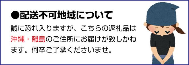 有田みかん 3kg 訳あり 家庭用 ※2024年10月下旬～2025年1月中旬頃に順次発送予定（お届け日指定不可)【smt008】