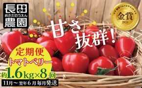 【先行受付!!】11月～6月毎月発送　幻のミニトマト　トマトベリーの定期便　8回コース【個数限定】 野菜ソムリエサミット 金賞 受賞 長田農園 産地直送 トマト とまと 野菜 やさい フルーツ サラダ 濃厚 甘い ご褒美 プレゼント 美容 健康 リピート多数 人気 高評価 数量限定 碧南市 H004-261