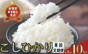 令和8年産 コシヒカリ 白米 選べる 5kg 10kg 単回 定期便 1回 3回 4回 6回 12回 お米 精米 ごはん こしひかり ご飯 高知県産 弁当 おにぎり 料理 新嘗祭皇室献上米 R8年 お取り寄せ 農家直送 美味しい 贈答用 ギフト 炊き立て 朝食 夕食 晩御飯 手作り 国産 日本米 特A米 一等米 冷めても美味しい モチモチ ツヤツヤ 安芸市 高知県