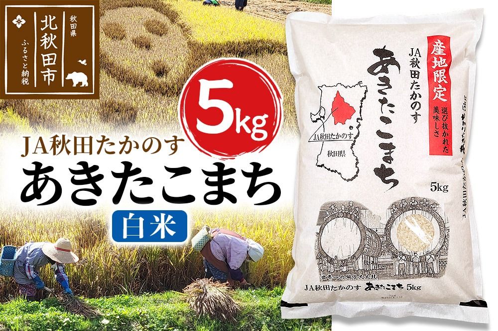 あきたこまち 白米5kg(5kg×1袋) 5キロ お米 令和7年産 秋田たかのす農業協同組合|jata-10301