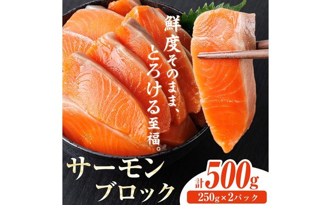 生食用 サーモン ブロック(計500g・250g×2P) 鮭 小分け 真空 パック 冷凍 刺身 シャケ サケ 魚 魚介 【AW-98】【丸正水産】