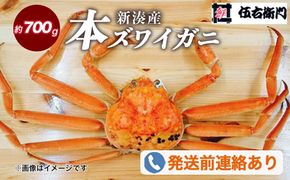 【伍右衛門】新湊産本ズワイガニ約700g｜海の幸 海鮮 お祝い 集まり メニュー 冬の味覚 茹でたて 新鮮 国産 富山県産 ※2026年11月～発送 ※発送まで1か月以上かかる場合があります。