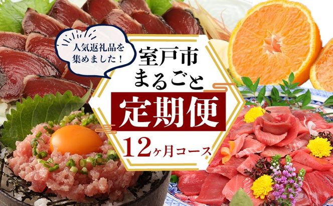 【定期便 12回】室戸まるごと定期便 人気の品12か月お届けコース 定期便 海鮮 定期便 肉 定期便 果物 かつお まぐろ ネギトロ ハンバーグ 国産 魚介 鮮魚 不知火 デコポン と同品種 干物 お菓子 芋けんぴ 高知県 室戸市