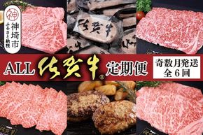 【奇数月発送 全6回定期便】ALL佐賀牛定期便【サーロインステーキ 赤身焼き肉 ハンバーグ カルビ焼肉 100%ハンバーグ ロースステーキ バラエティ豊か】(H118111)