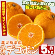 ＜先行予約受付中！2026年3月以降順次発送予定＞鹿児島県産！露地デコポン(約5kg・15～24玉) 果物 冬 春 柑橘 みかん 蜜柑 フルーツ 期間限定 数量限定【鹿児島いずみ農業協同組合】akn018-10
