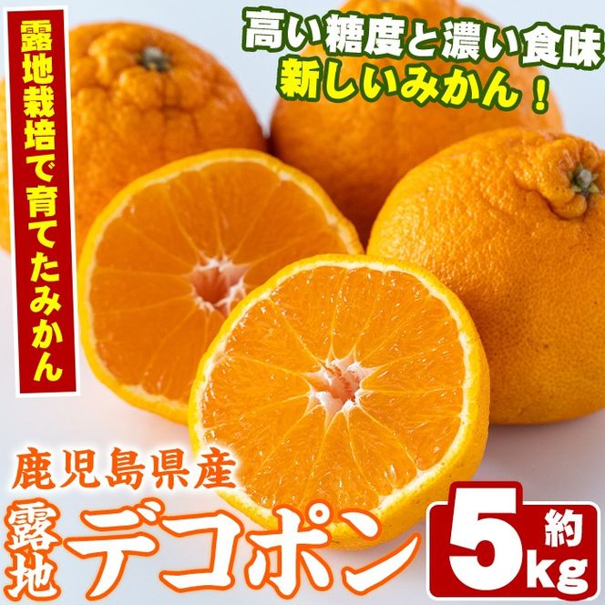 ＜先行予約受付中！2026年3月以降順次発送予定＞鹿児島県産！露地デコポン(約5kg・15～24玉) 果物 冬 春 柑橘 みかん 蜜柑 フルーツ 期間限定 数量限定【鹿児島いずみ農業協同組合】akn018-10