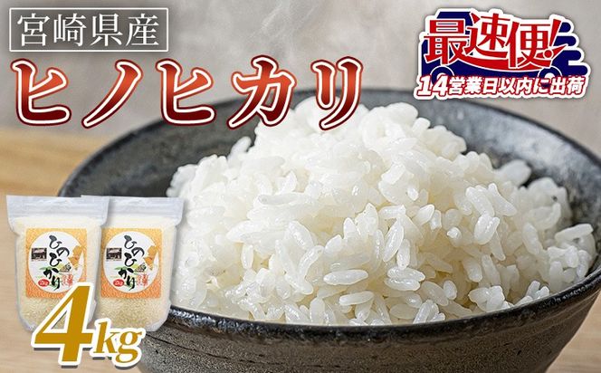 ＜宮崎県産米 ヒノヒカリ 4kg＞ 入金確認後、14営業日以内に順次出荷【 コメ 米 お米 白米 ご飯 飯 炊き立て こめ ひのひかり 宮崎県 県産 粒 お茶碗 炊き込みご飯 おにぎり 主食 】【b0918_su_x3】