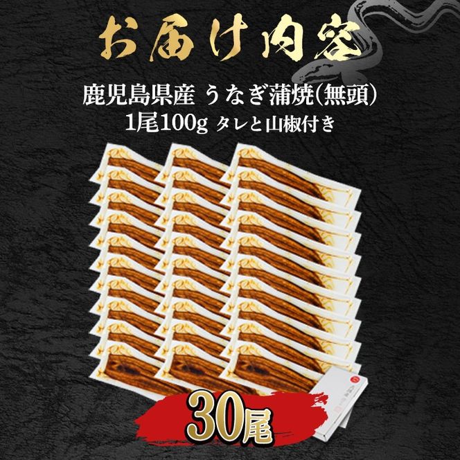 【1084329a】＜食べきりサイズ！＞東串良町のうなぎ蒲焼(無頭)(30尾・計3000g・タレ、山椒付) うなぎ 高級 ウナギ 鰻 国産 蒲焼 蒲焼き たれ 鹿児島 ふるさと 人気 【アクアおおすみ】