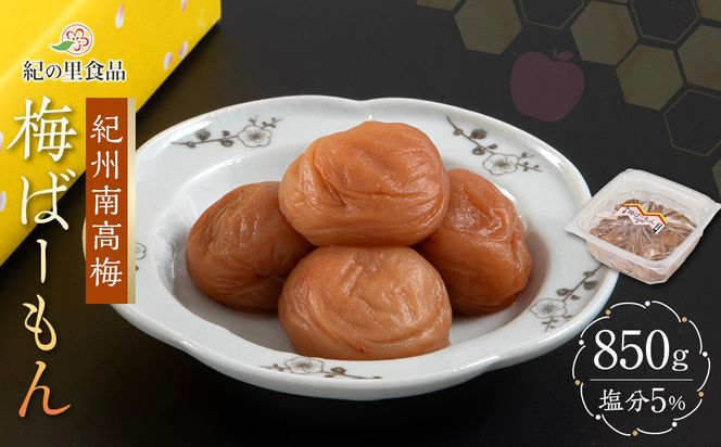 ya̎R쒬zIB썂~ ~΁[ 850gmKn16n 303446_CQ016