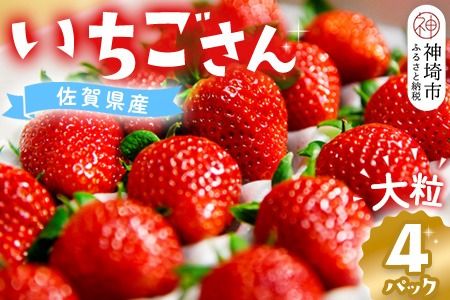 【先行受付 令和9年1月より発送】佐賀県産『いちごさん』4Pセット【苺 イチゴ ブランドいちご 大粒 果物 フルーツ デザート ふるさと納税】(H108101)