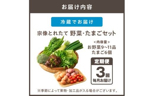 【定期便/3回/毎月お届け】宗像とれたて　野菜とたまごの定期便【オアシス】_HB0081