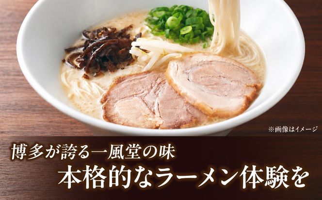 ラー麦使用「一風堂」とんこつラーメン 白丸 (8食)《築上町》【吉浦コーポレーション】 とんこつラーメン 豚骨ラーメン 博多ラーメン お取り寄せ[ABFF010]