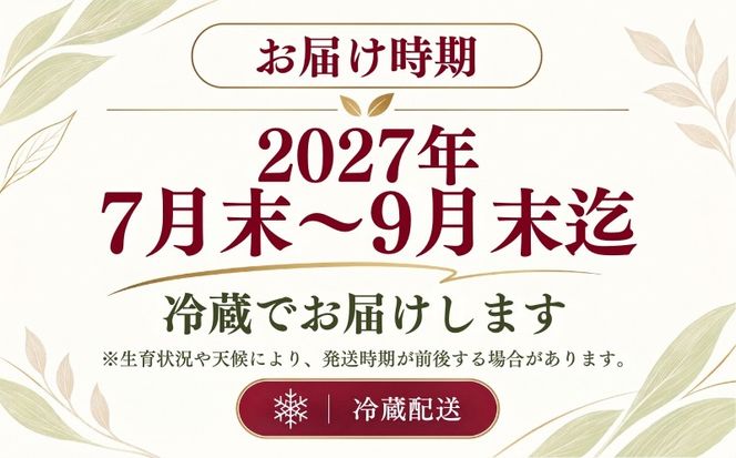 GN001_002【ふるさと納税】【2027年先行予約】山梨県都留市産 紅いスイートコーン 大和ルージュ 選べる 6～8本 / 10本 ｜希少な赤いとうもろこし 甘い スイートコーン トウモロコシ 産地直送 送料無料【浅田農園】　