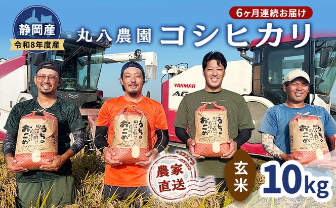 【予約】令和8年度産 静岡産 コシヒカリ 玄米 定期便 10kg×6カ月 米 コメ こしひかり コシヒカリ 袋井市 静岡県